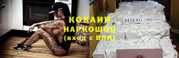 apvp Алзамай