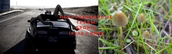 герыч Алексин