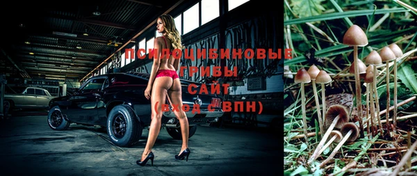 герыч Алексин