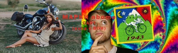 apvp Алзамай